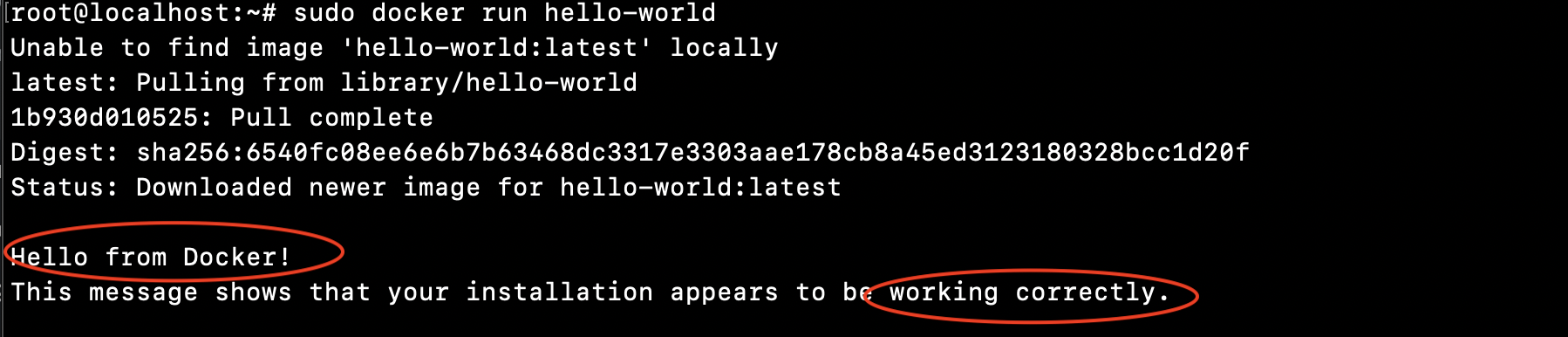 Docker Berhasil Diinstal di Linux